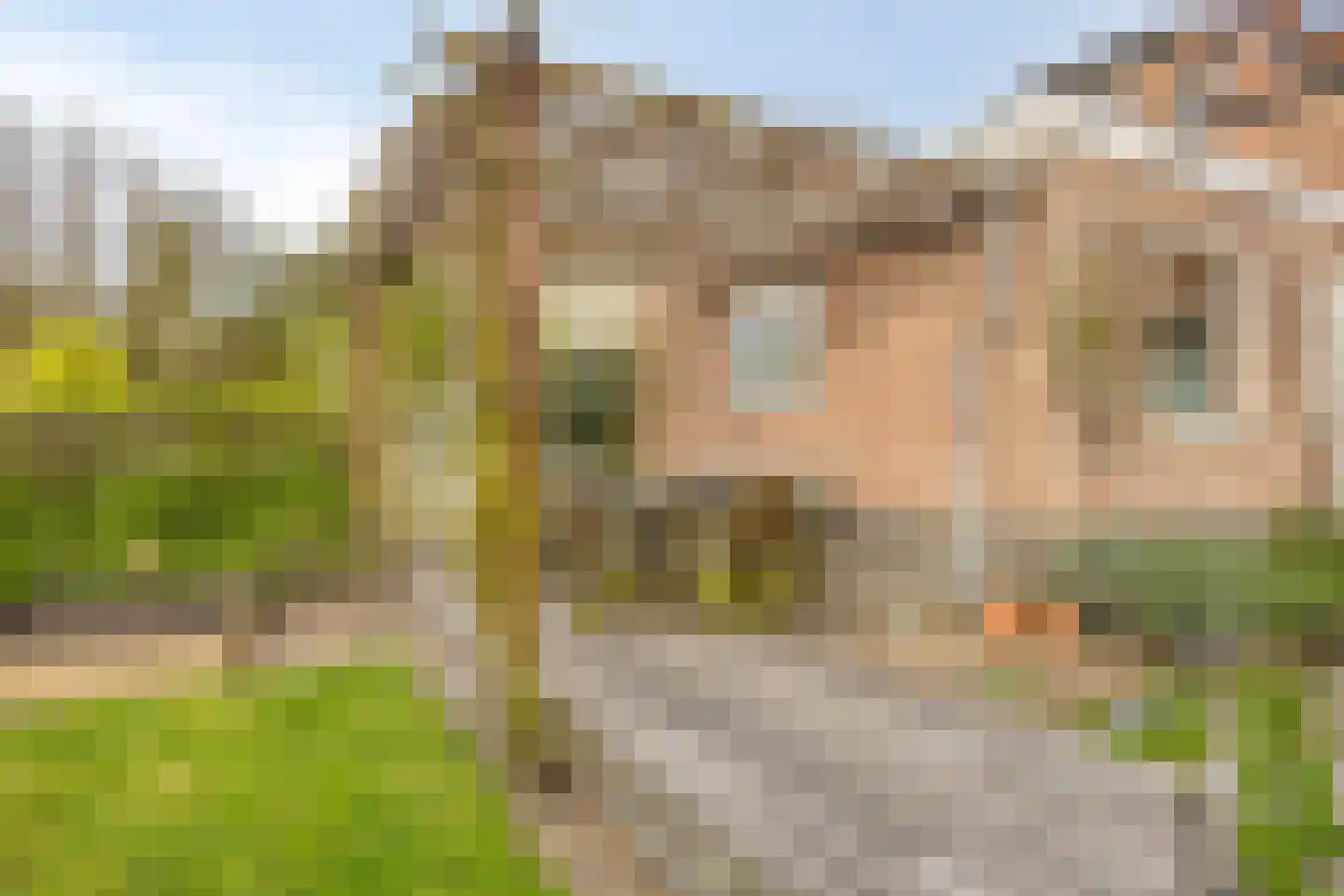 Graafjansdijk B 126 Westdorpe thumbnail 23