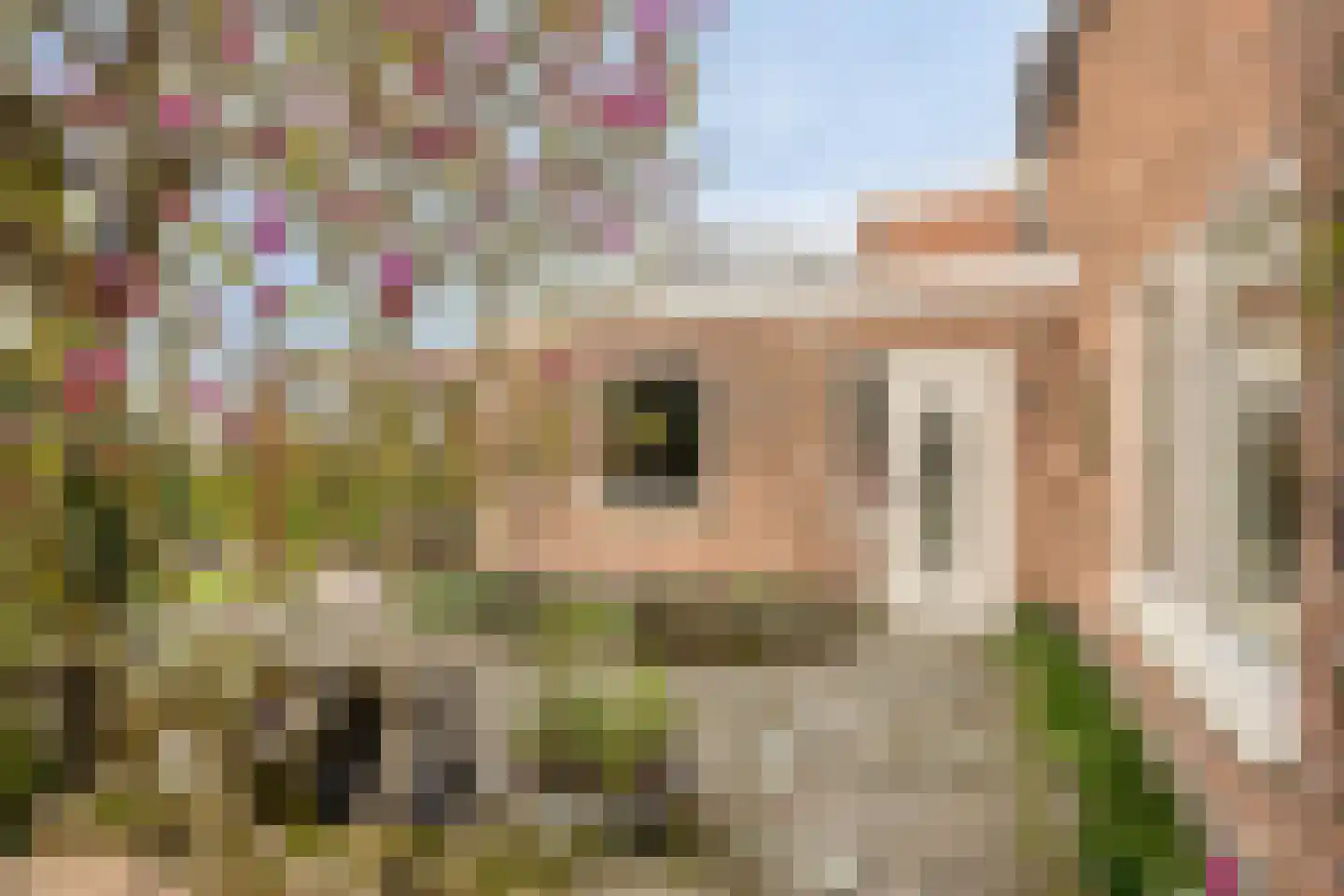 Graafjansdijk B 126 Westdorpe thumbnail 24