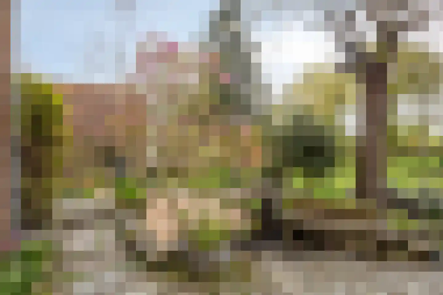 Graafjansdijk B 126 Westdorpe thumbnail 25