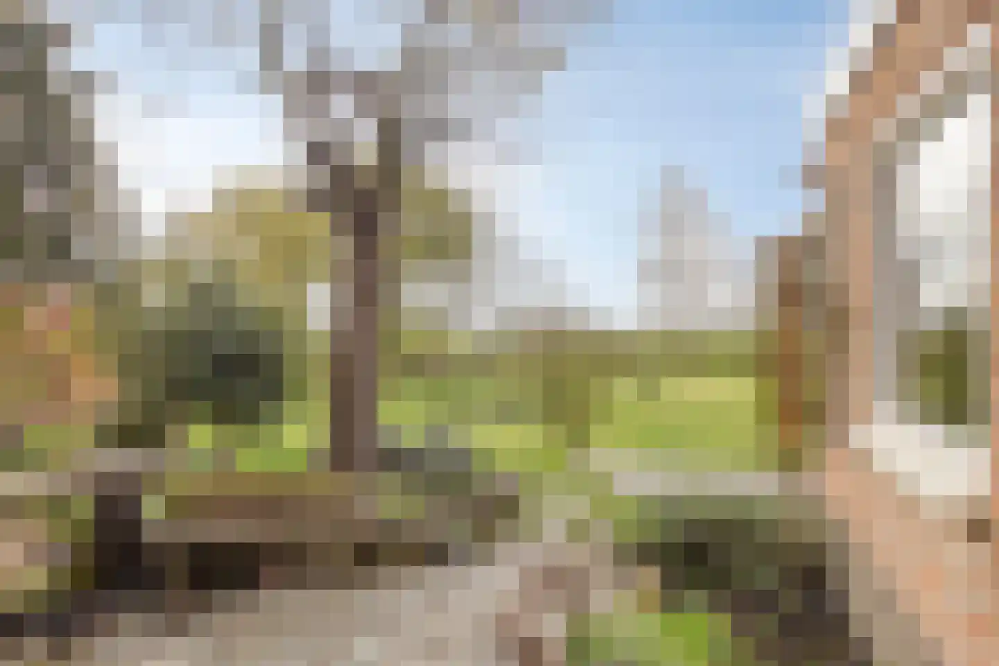 Graafjansdijk B 126 Westdorpe thumbnail 26