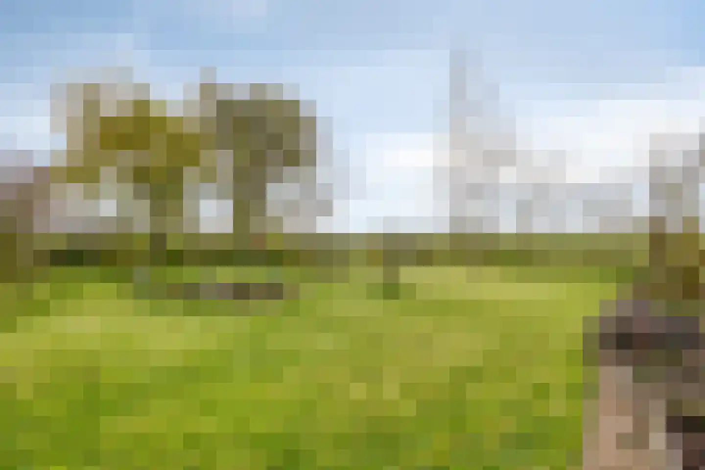 Graafjansdijk B 126 Westdorpe thumbnail 27