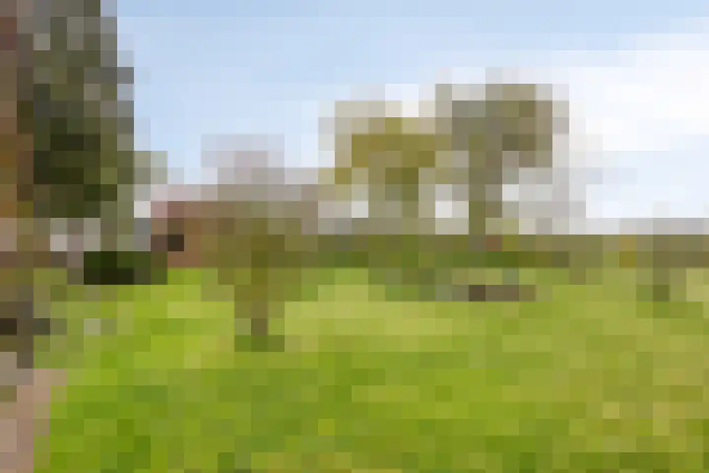 Graafjansdijk B 126 Westdorpe thumbnail 28