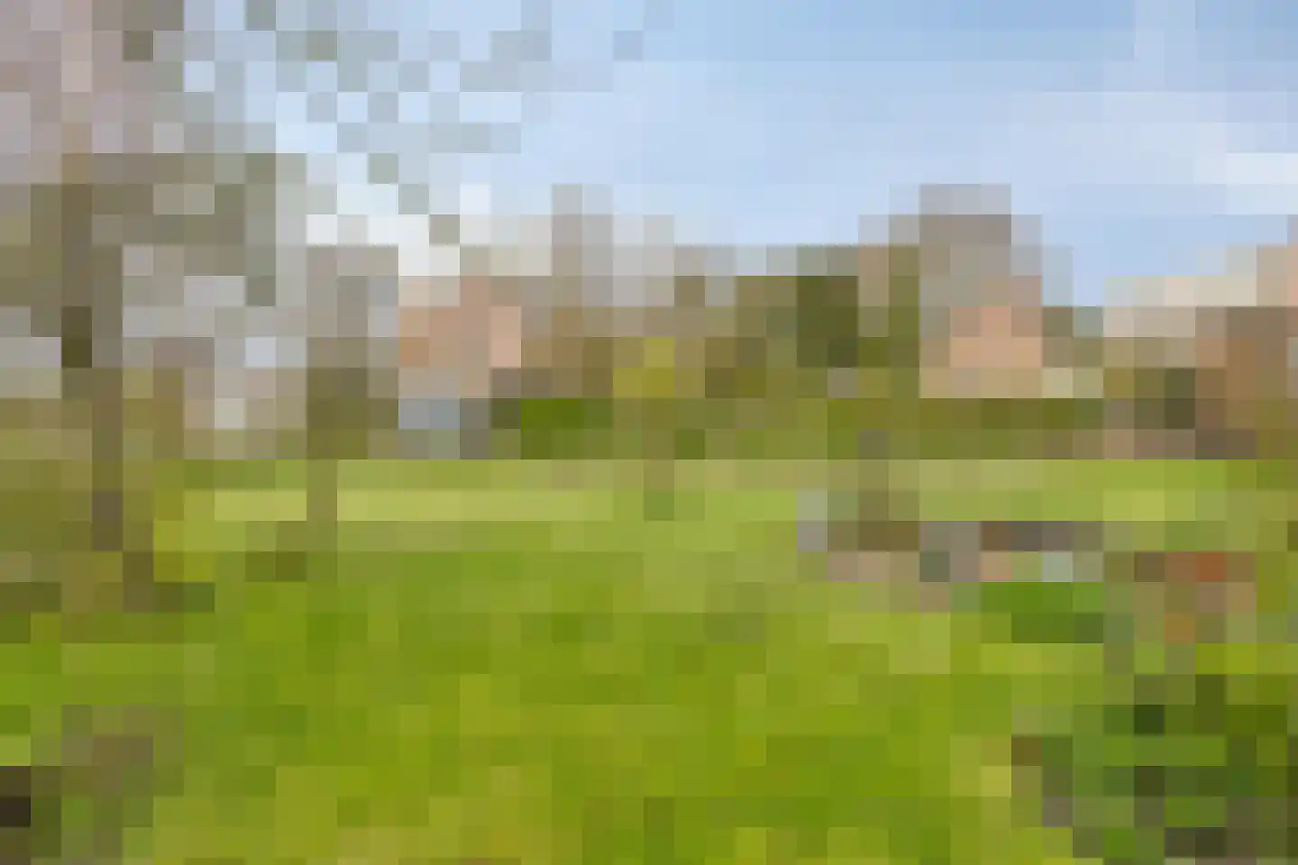 Graafjansdijk B 126 Westdorpe thumbnail 31