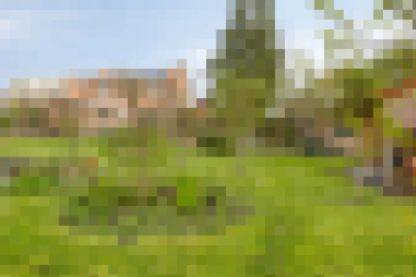 Graafjansdijk B 126 Westdorpe thumbnail 33