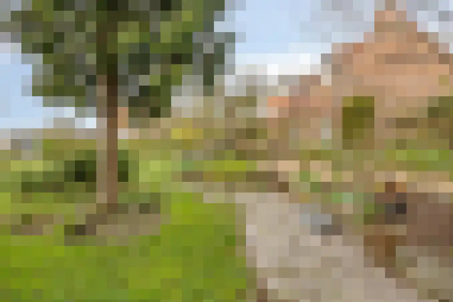 Graafjansdijk B 126 Westdorpe thumbnail 34