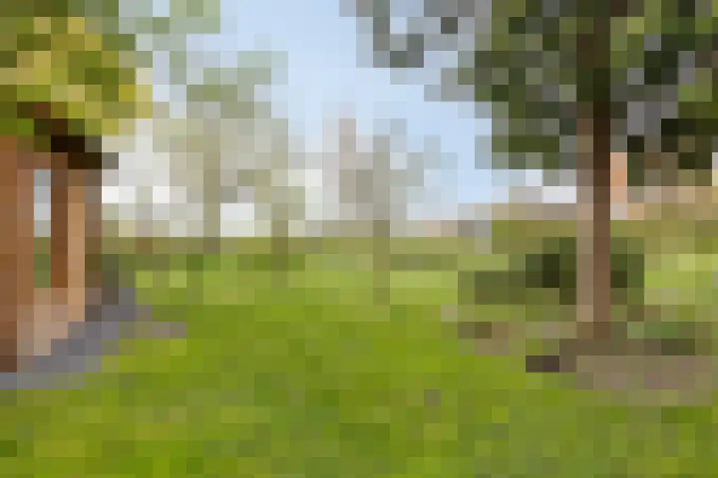 Graafjansdijk B 126 Westdorpe thumbnail 35