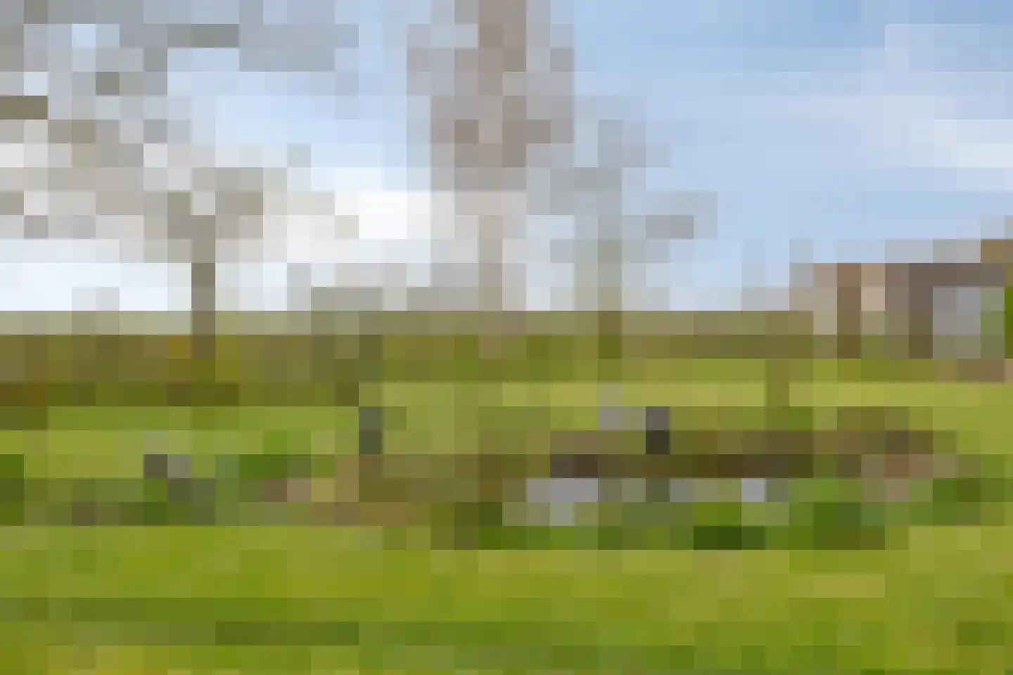 Graafjansdijk B 126 Westdorpe thumbnail 37