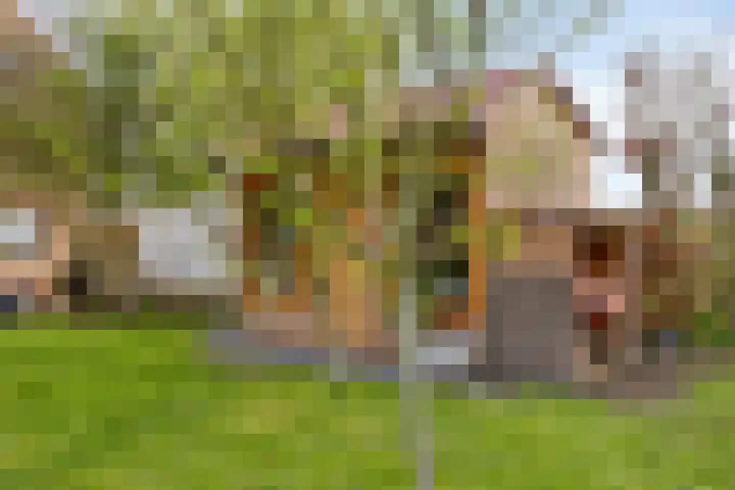 Graafjansdijk B 126 Westdorpe thumbnail 38