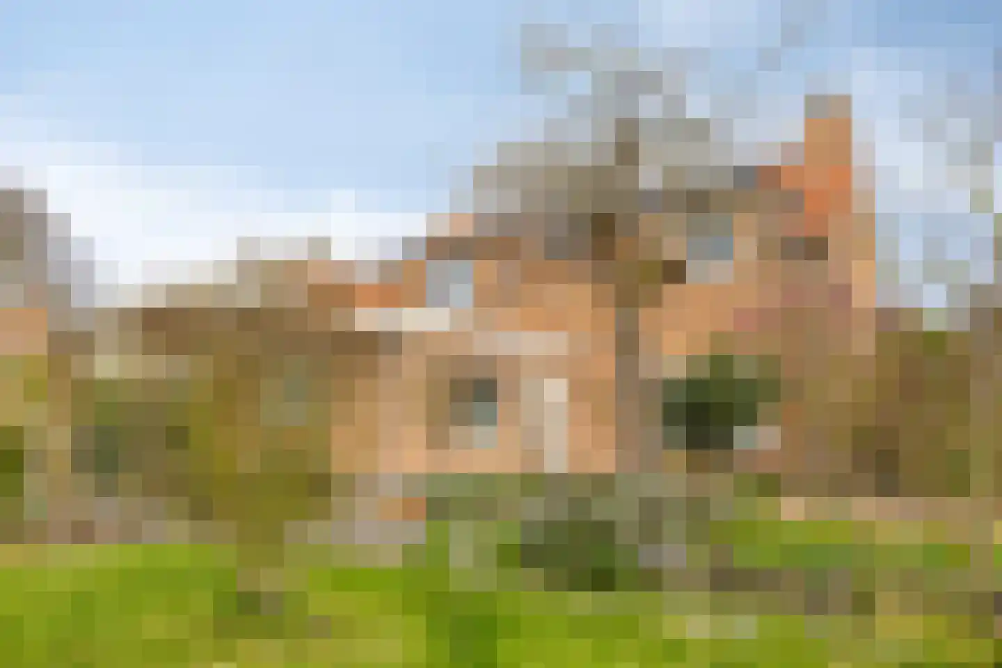 Graafjansdijk B 126 Westdorpe thumbnail 39