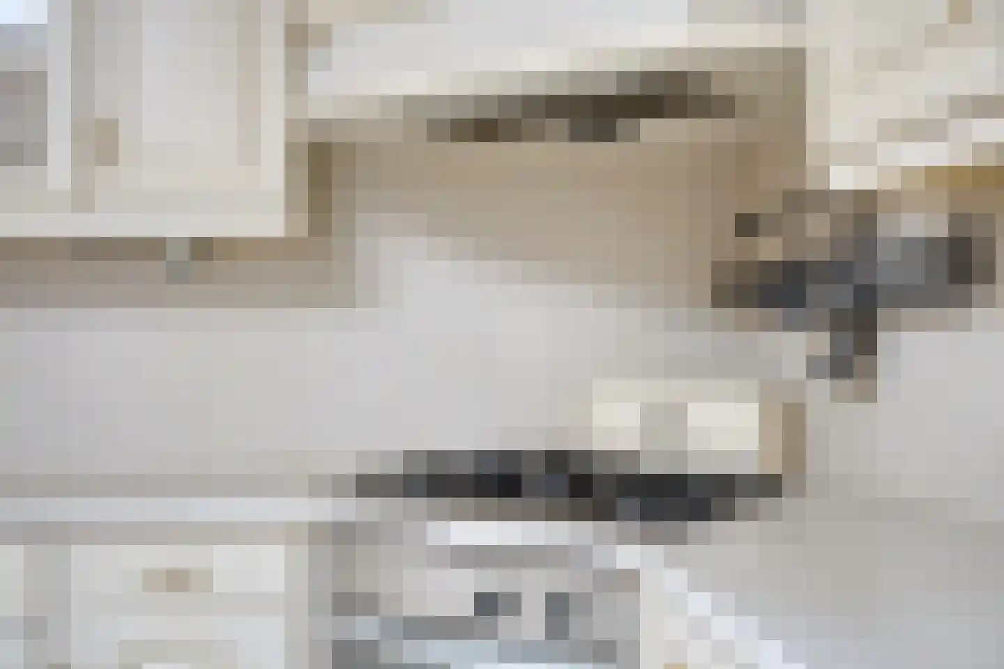 Graafjansdijk B 130 Westdorpe thumbnail 11