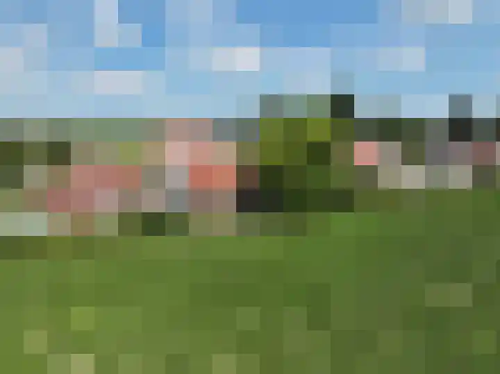 Graafjansdijk B 160 Westdorpe thumbnail 21