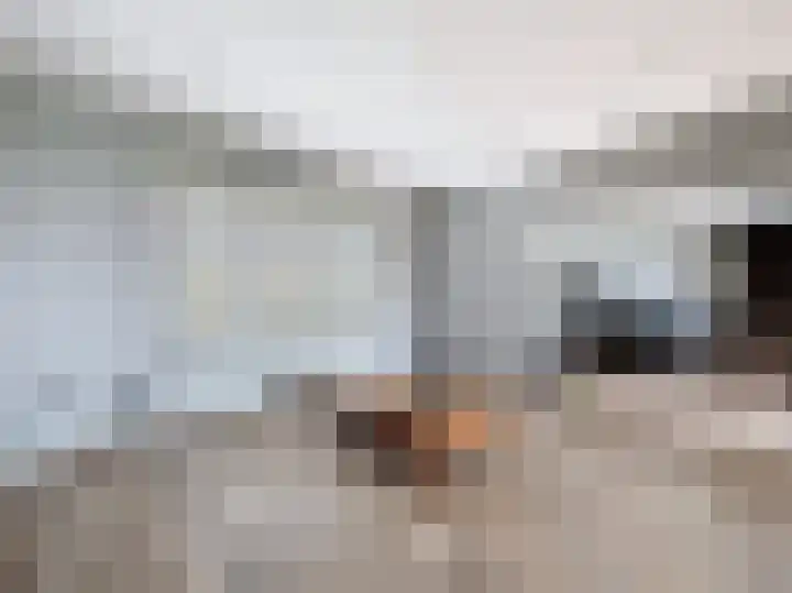Graafjansdijk B 160 Westdorpe thumbnail 6