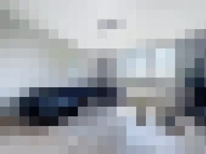 Graafjansdijk B 160 Westdorpe thumbnail 8