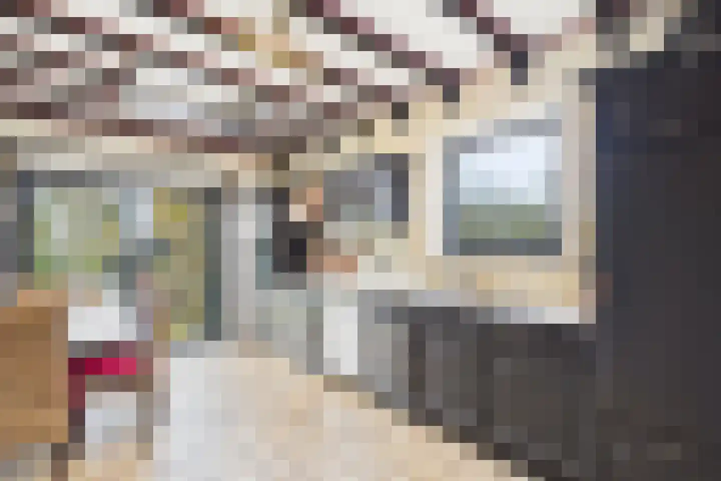 Graafjansdijk B 37 Westdorpe thumbnail 10