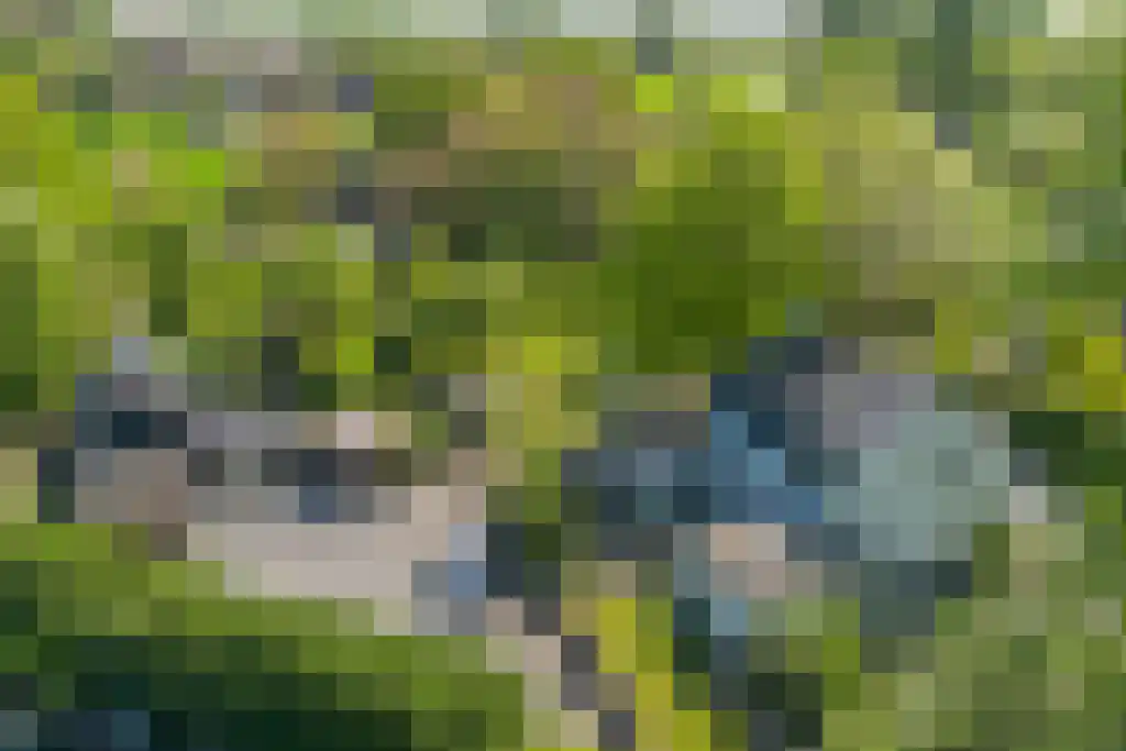 Graafjansdijk B 37 Westdorpe thumbnail 19