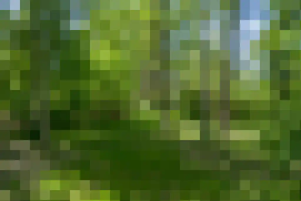 Graafjansdijk B 37 Westdorpe thumbnail 20