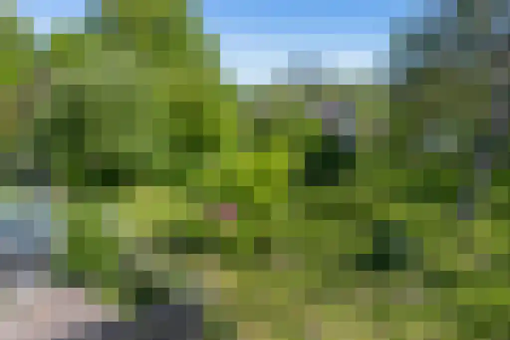 Graafjansdijk B 37 Westdorpe thumbnail 21