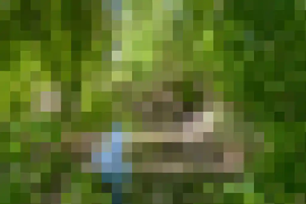 Graafjansdijk B 37 Westdorpe thumbnail 23