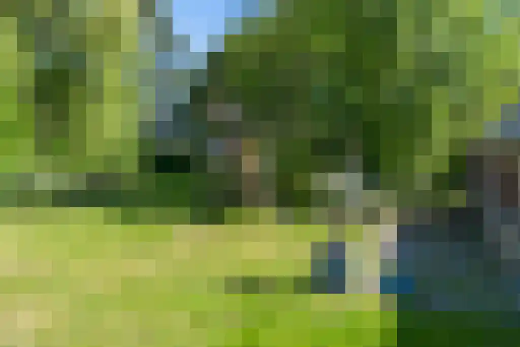 Graafjansdijk B 37 Westdorpe thumbnail 25