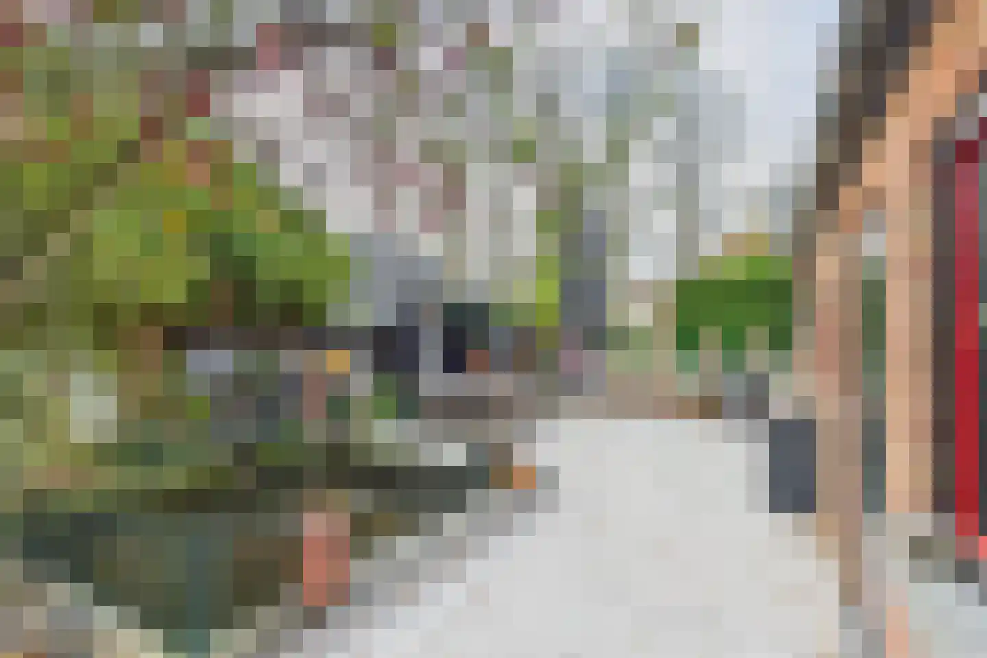 Graafjansdijk B 37 Westdorpe thumbnail 29