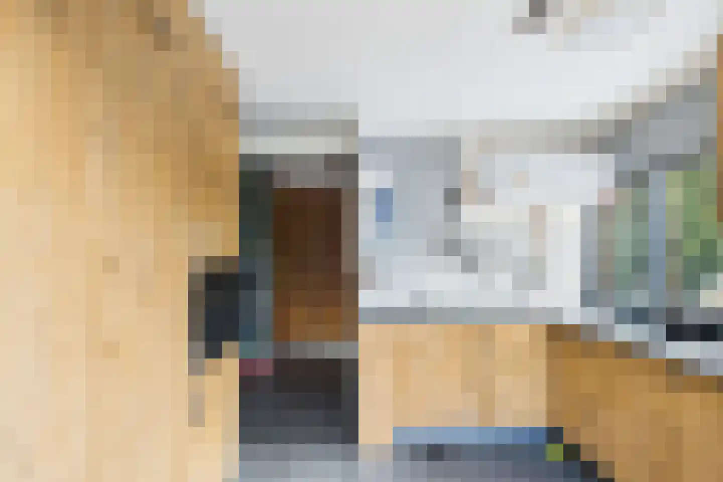 Graafjansdijk B 37 Westdorpe thumbnail 30