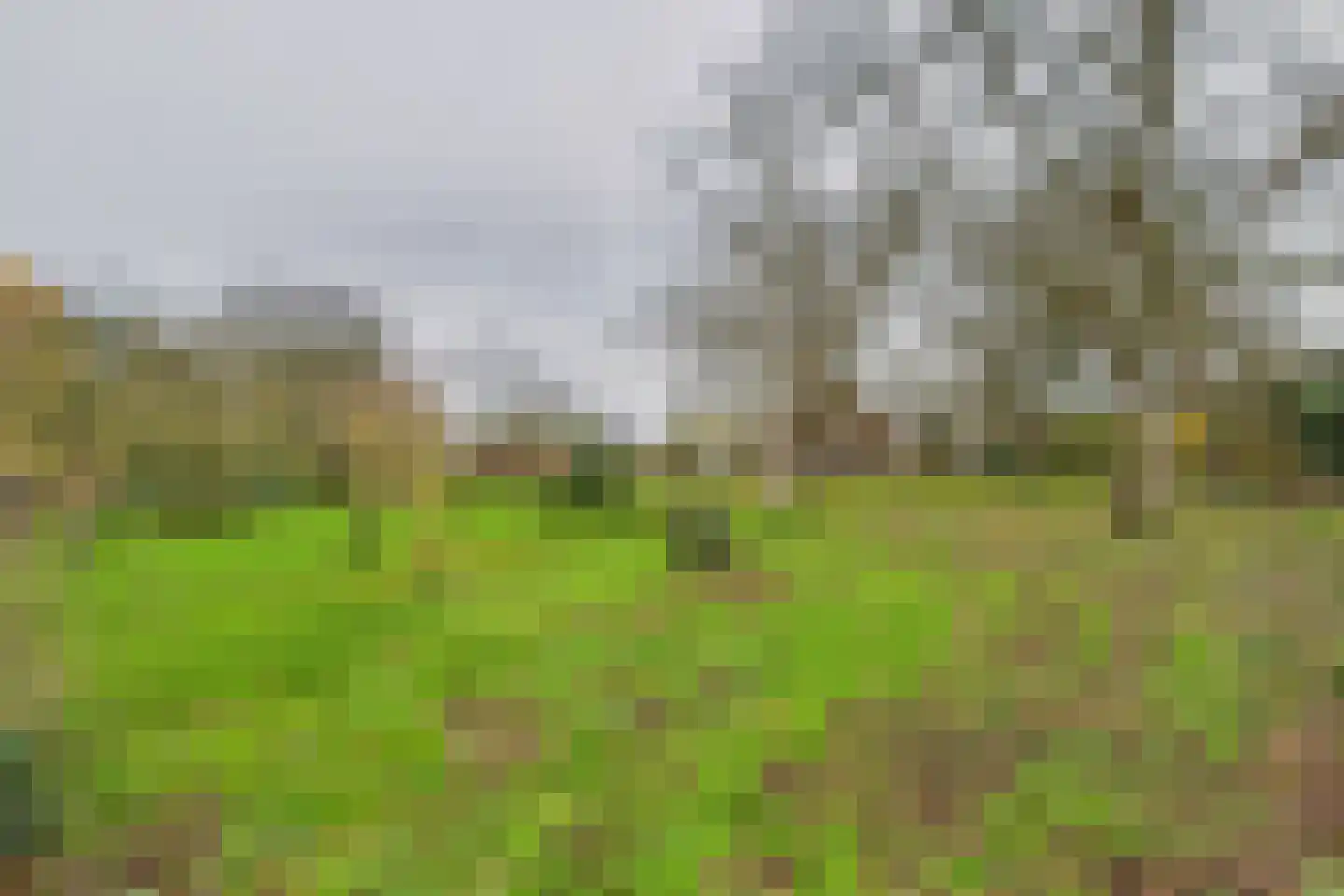 Graafjansdijk B 37 Westdorpe thumbnail 39