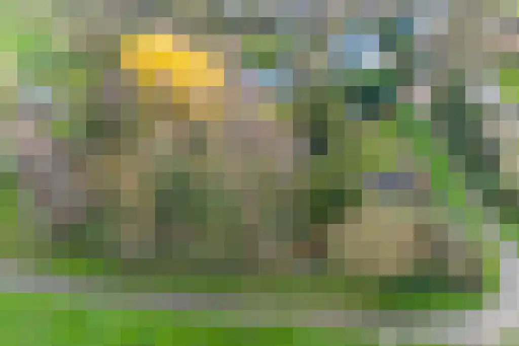 Graafjansdijk B 37 Westdorpe thumbnail 4