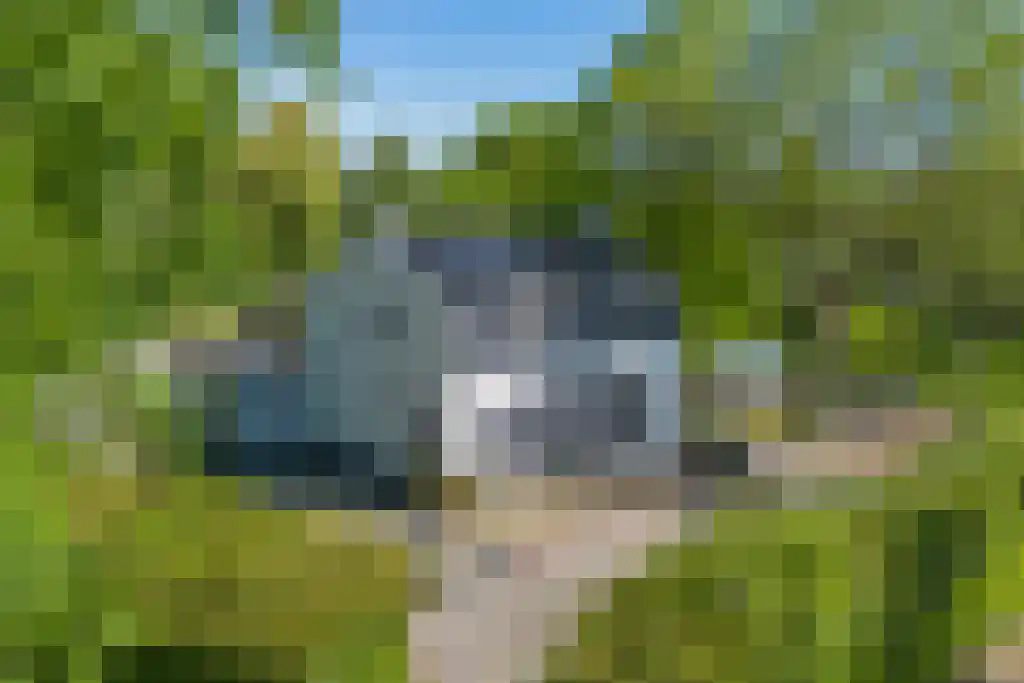 Graafjansdijk B 37 Westdorpe thumbnail 4