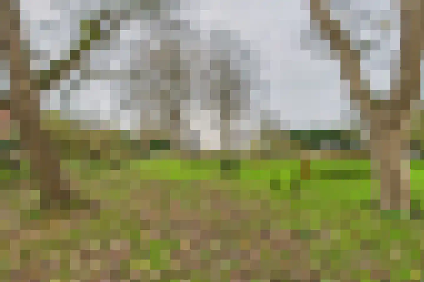 Graafjansdijk B 37 Westdorpe thumbnail 40