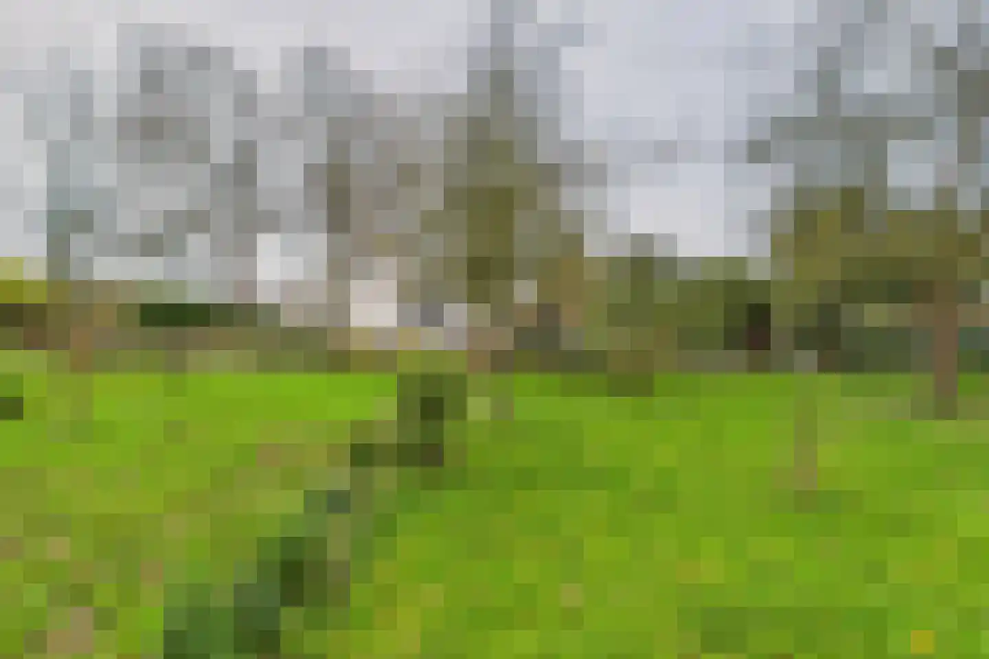 Graafjansdijk B 37 Westdorpe thumbnail 41