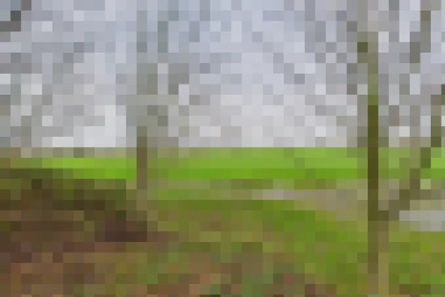 Graafjansdijk B 37 Westdorpe thumbnail 42