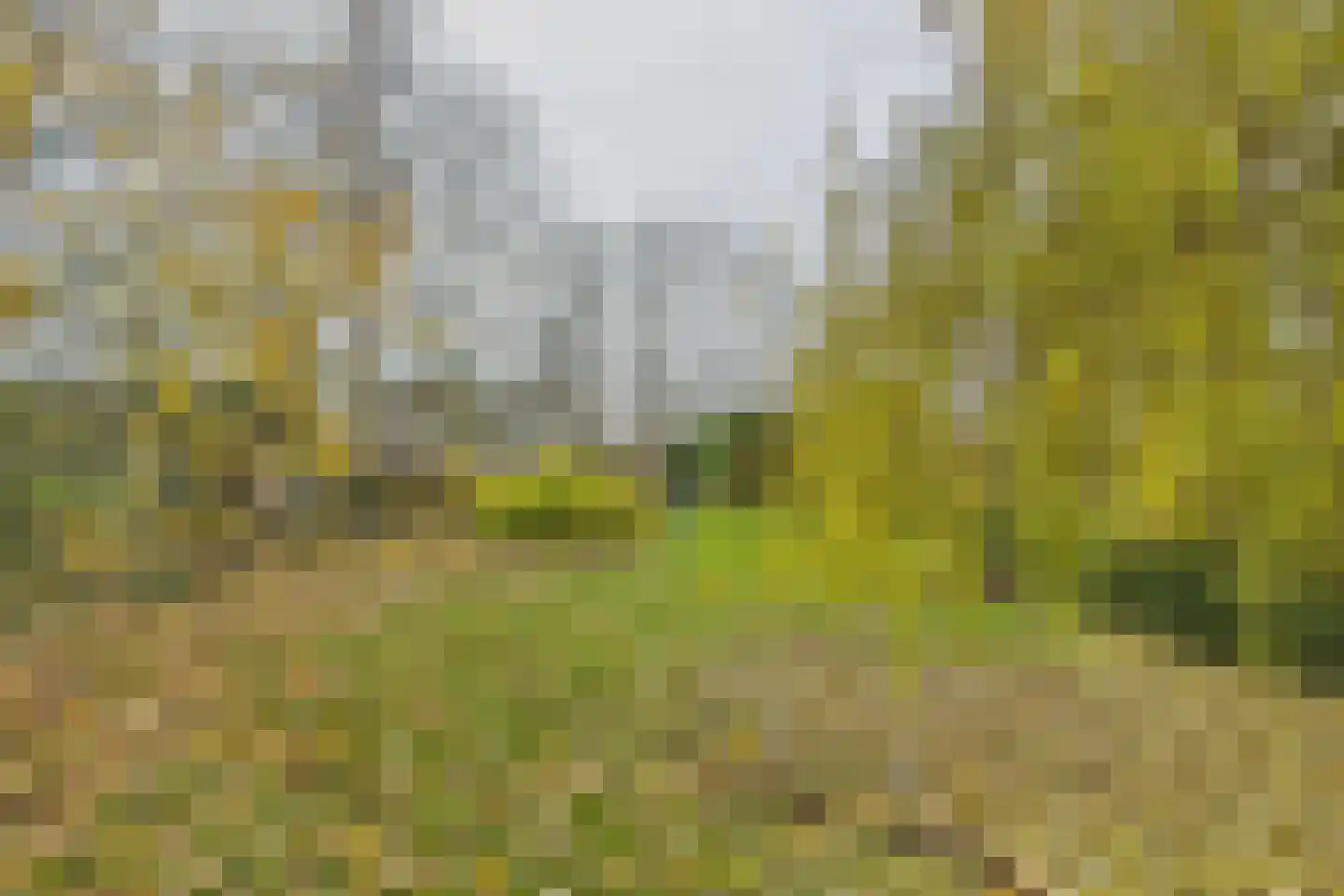 Graafjansdijk B 37 Westdorpe thumbnail 43