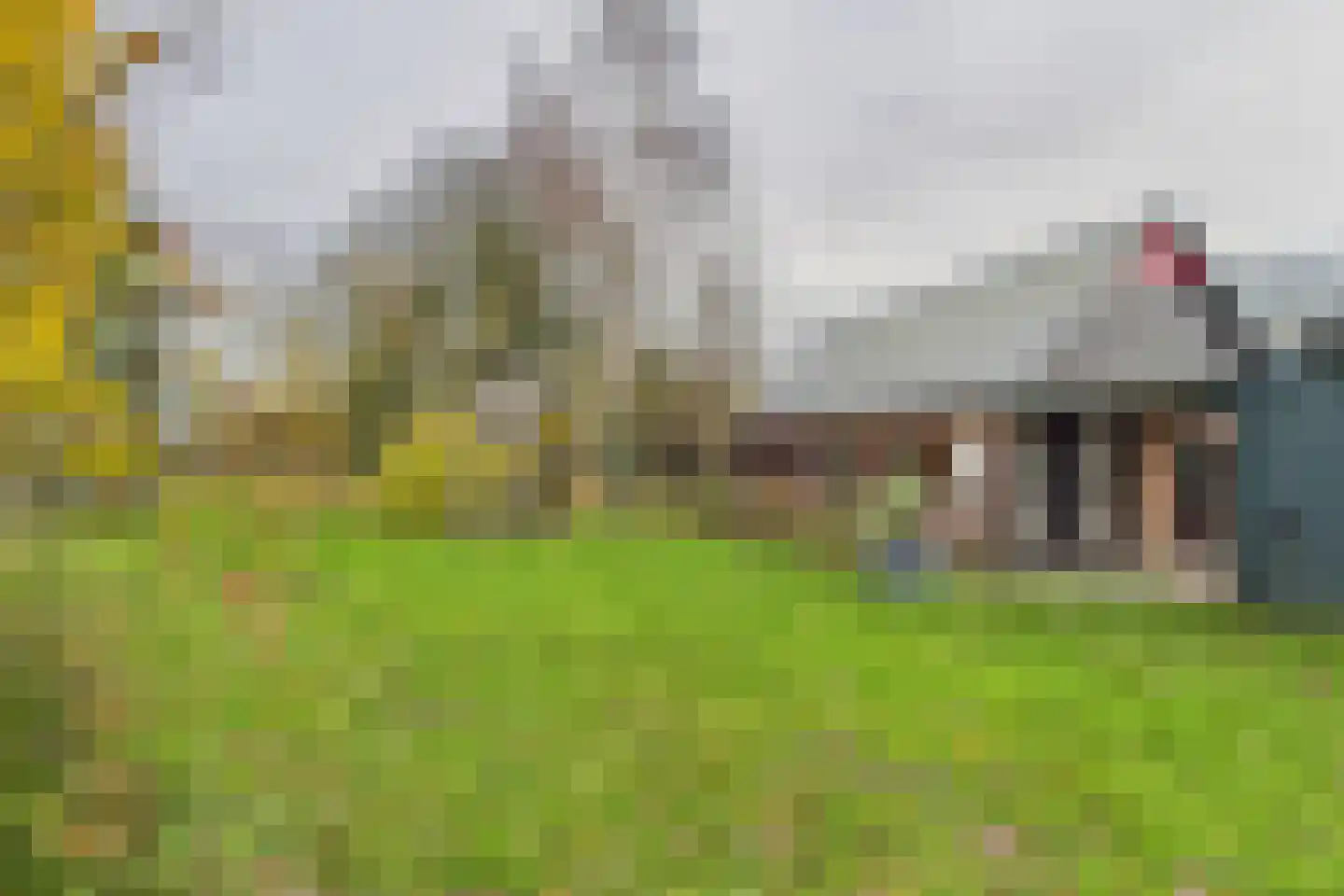 Graafjansdijk B 37 Westdorpe thumbnail 45