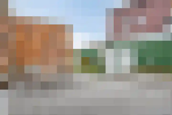 Graafjansdijk B 53 Westdorpe thumbnail 23