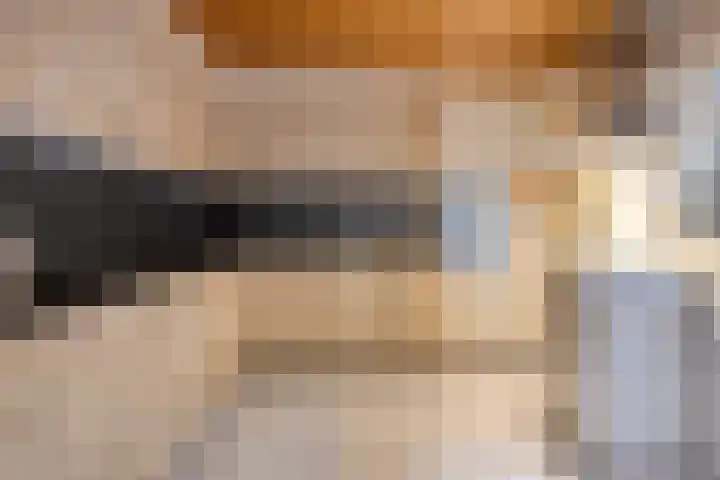 Graafjansdijk B 53 Westdorpe thumbnail 7