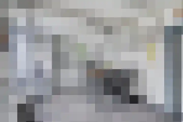Graafjansdijk B 60 Westdorpe thumbnail 16