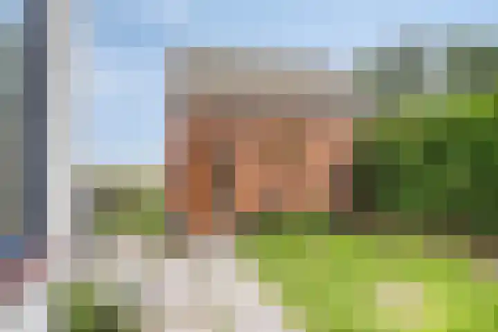 Graafjansdijk B 60 Westdorpe thumbnail 24