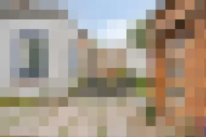 Graafjansdijk B 60 Westdorpe thumbnail 27