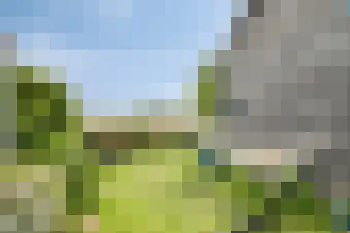 Graafjansdijk B 60 Westdorpe thumbnail 28