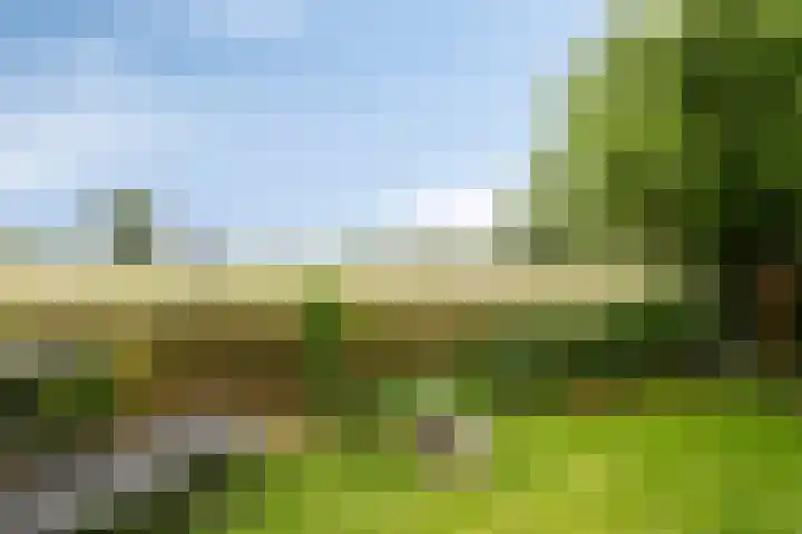 Graafjansdijk B 60 Westdorpe thumbnail 4
