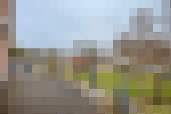 Graafjansdijk B 68 Westdorpe thumbnail 27