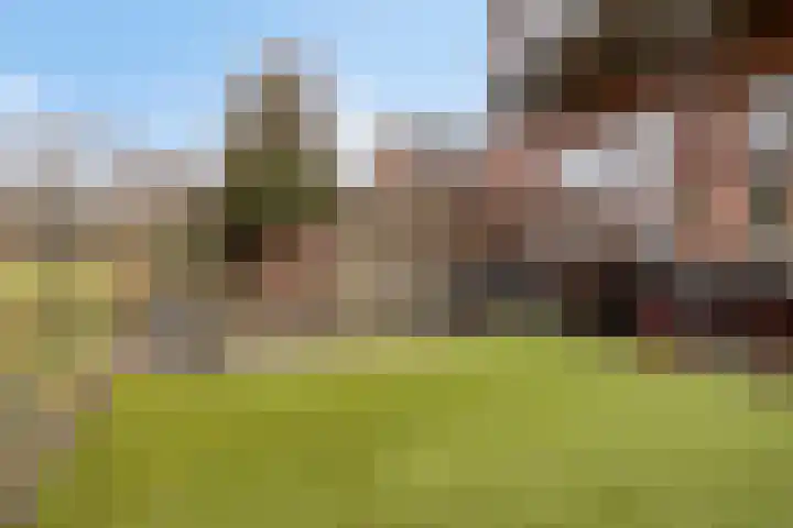 Graafjansdijk B 68 Westdorpe thumbnail 30