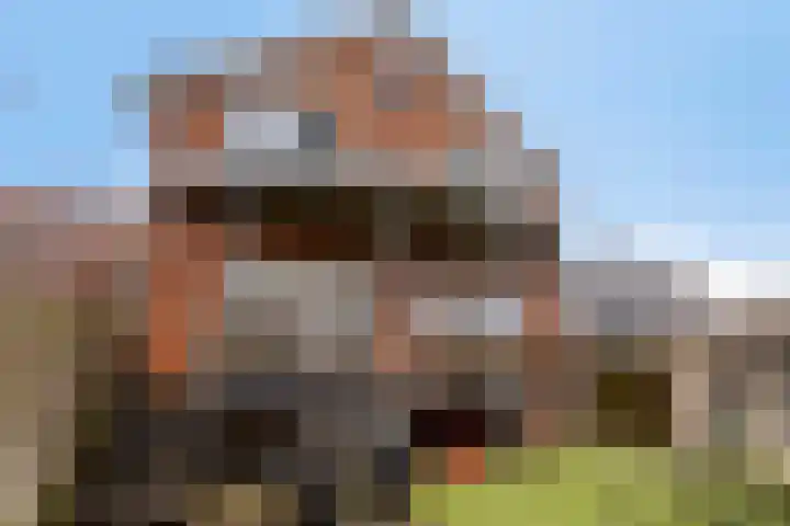 Graafjansdijk B 68 Westdorpe thumbnail 31