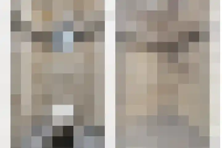 Graafjansdijk B 68 Westdorpe thumbnail 35