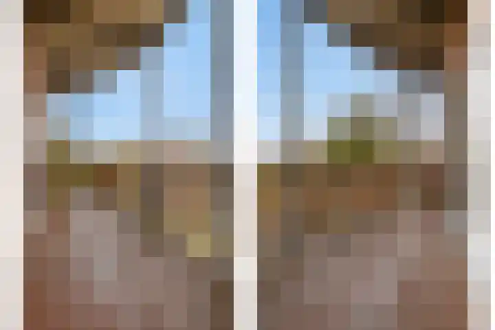 Graafjansdijk B 68 Westdorpe thumbnail 36