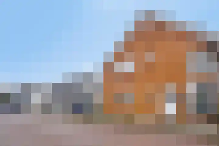 Graafjansdijk B 68 Westdorpe thumbnail 7