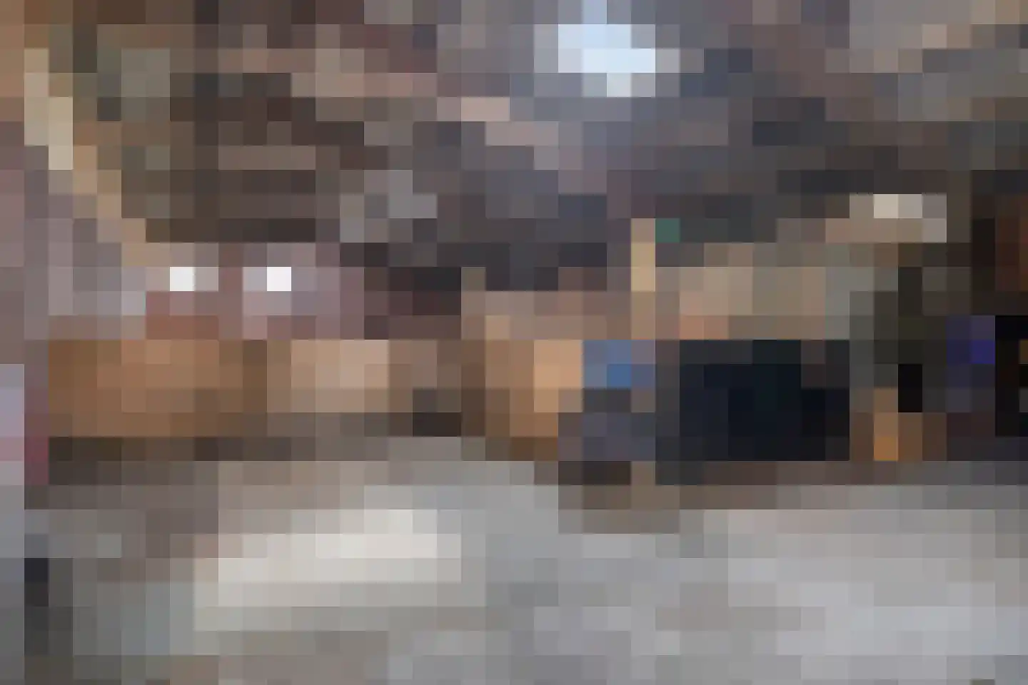 Graafjansdijk B 87 Westdorpe thumbnail 31