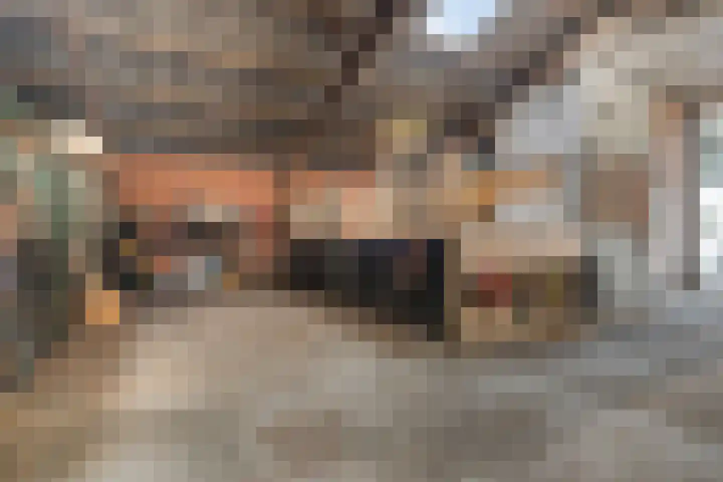 Graafjansdijk B 87 Westdorpe thumbnail 32