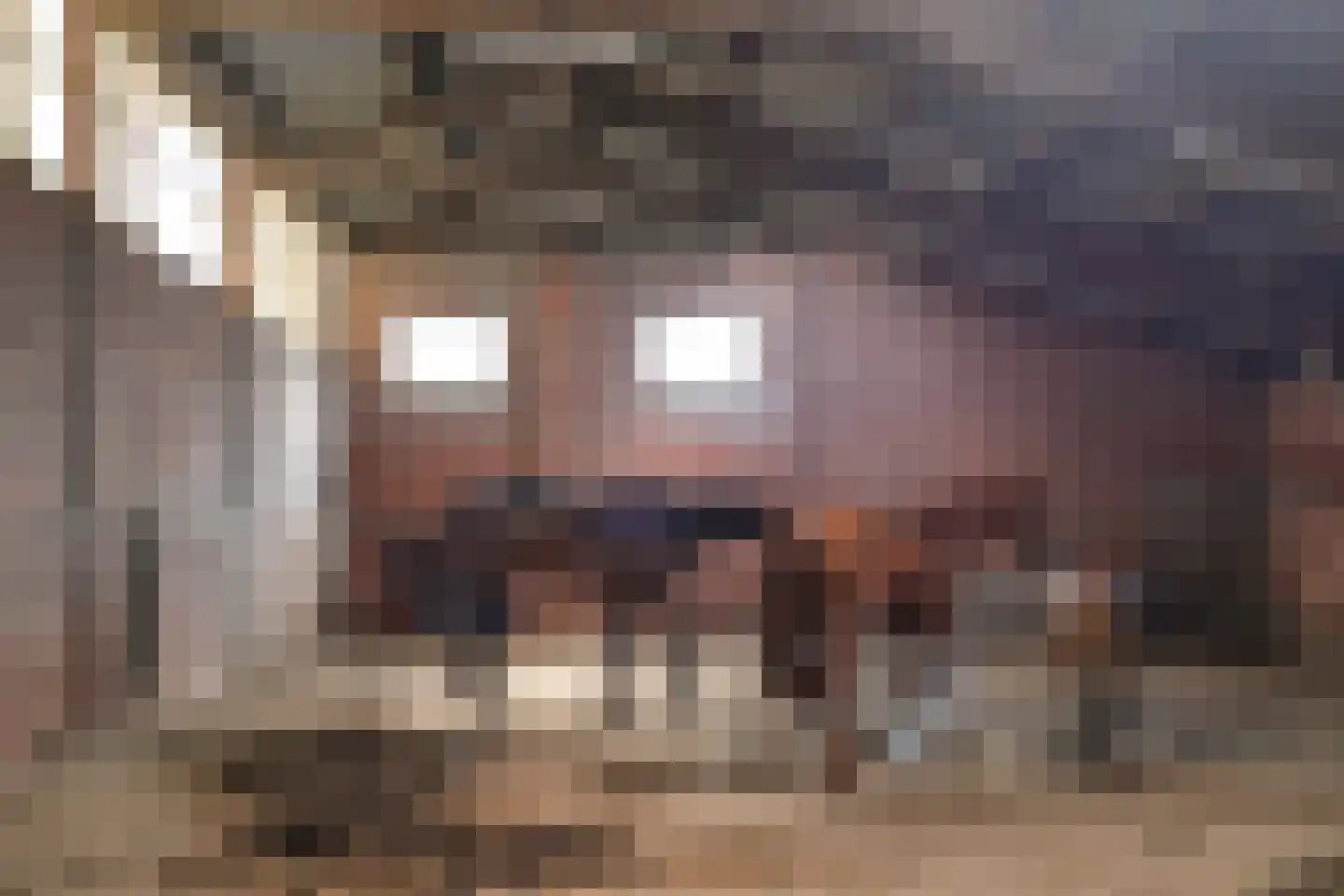 Graafjansdijk B 87 Westdorpe thumbnail 37