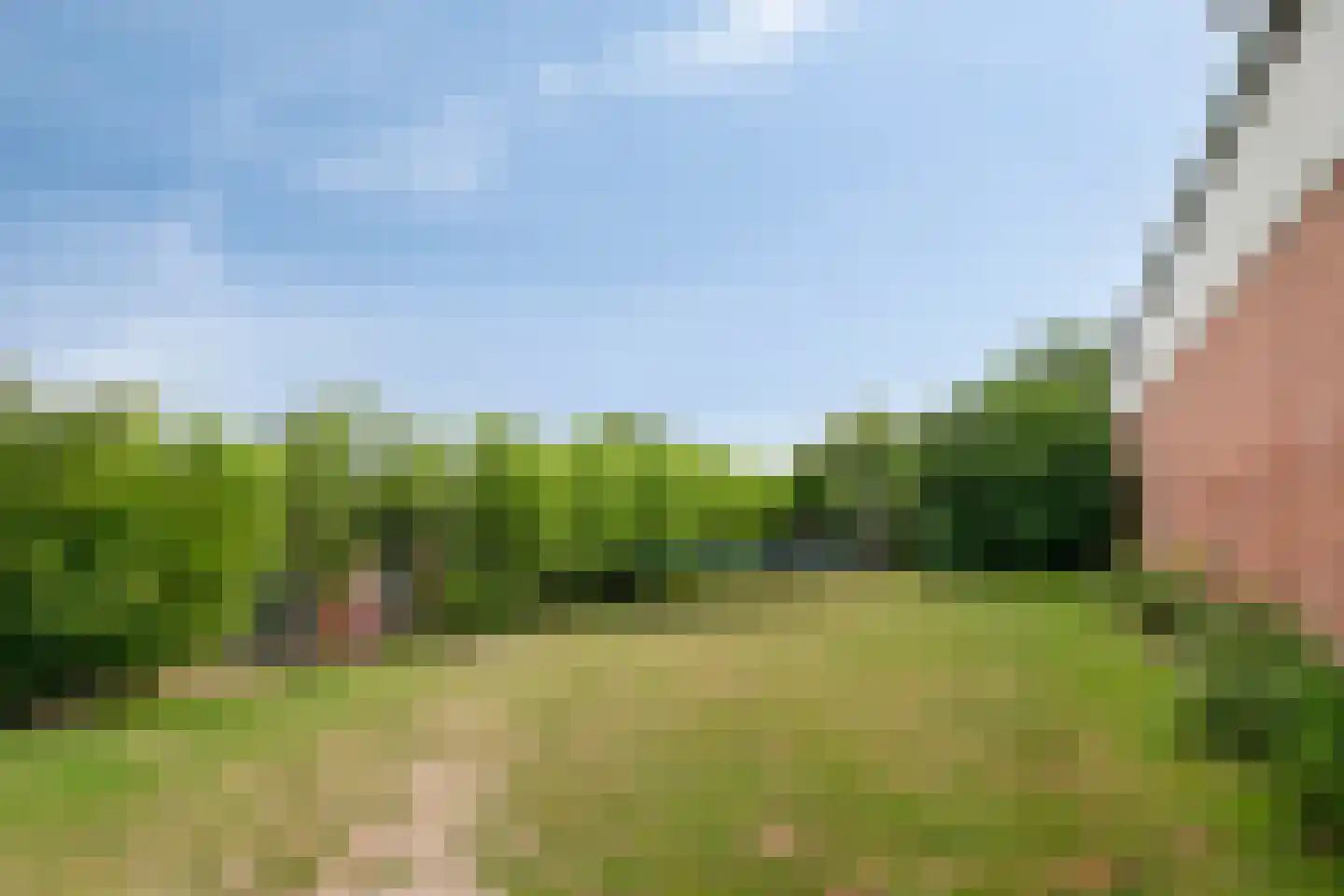 Graafjansdijk B 87 Westdorpe thumbnail 38